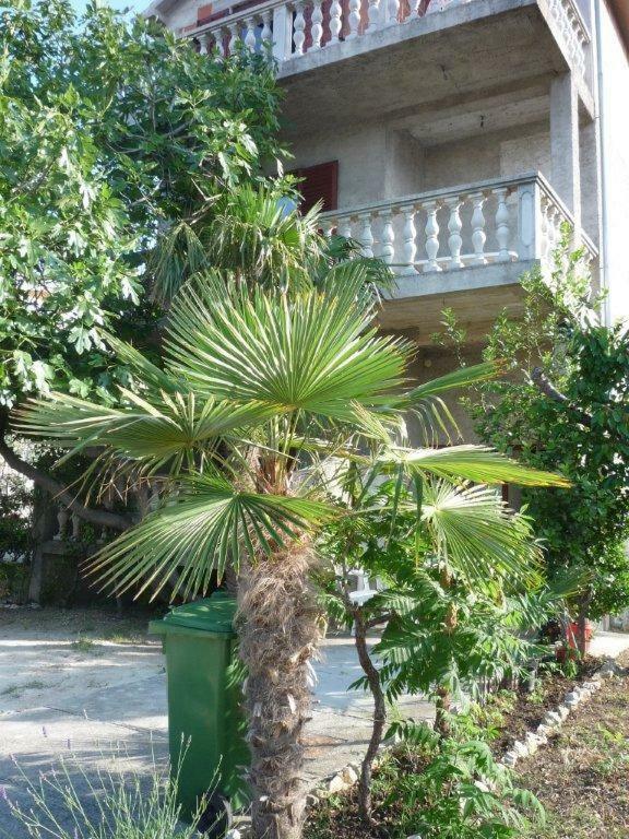 Apartment Ane